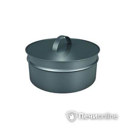 Заглушки Теплов и Сухов Заглушка ревизии Термо-Р 304 0.5 D300(200) в Пензе