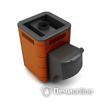 Дровяная банная печь TMF Оса Carbon терракота дверь антрацит в Пензе